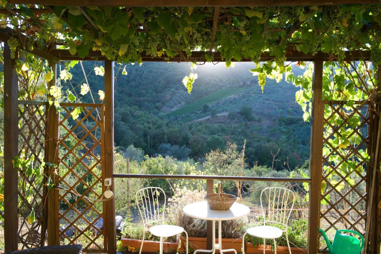 Barco Mediceo B&B In Toscana Carmignano Exterior foto